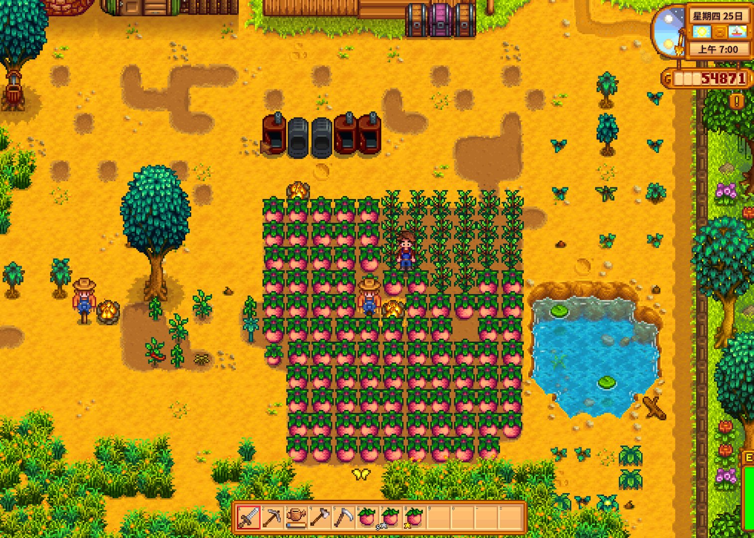 黑暗之魂3 年度版 截图10